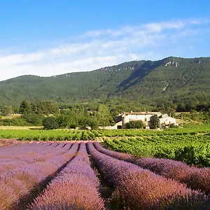 Du Chateau D'alencon Vakantiehuis